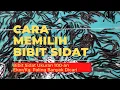 Lagu Jual Bibit Sidat yang Paling Banyak Dicari Pembudidaya Pemula. 1 Kg Bibit Sidat Bisa Panen 25 Kg