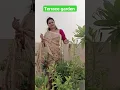 Download Lagu Rajani gandha phool tumhare#latamangeshkar #beautiful #song #vidhiyasinha#respect #trending #viral