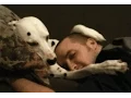 20 Cute Dog Gifs Depicting How Caring Dogs Can Be
