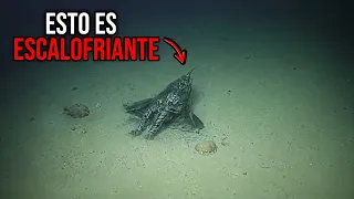 Las Cosas más Perturbadoras Captadas en el Golfo de México