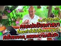Download Lagu อ.เบียร์ ฝากถึง คณะปกป้องศาสนา ทีพระทำชั่วไม่เห็นออกมาด่ า ทีเรื่องของก ูแสดงความเห็นจัง