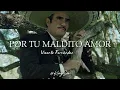 Vicente Fernández - Por tu maldito amor (Letra)