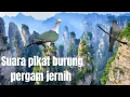 Download Lagu ⭕SUARA PIKAT BURUNG PERGAM JERNIH ❗❗ COCOK UNTUK NYANGGONG