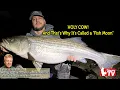 April 6 2023 New Bay Fishing Report with Jim Hutchinson Jr