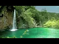 Download Lagu 1Hour Relaxing Music || No Copyright Music (Spring In My Step By:Silent Partner)