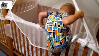 hot funny baby 2016 17