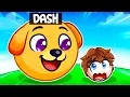 Download Lagu I Became a DOG in Roblox Ball Eating Simulator…