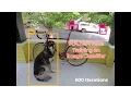 How an Image Classifier Learns using time lapse