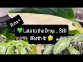 Download Lagu RONA+ Plant Tour: Hits and Misses! 🤔