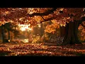 Relaxing Piano Music & Gentle Piano Sounds - Ambient Piano For Sleep And Peaceful Autumn Relaxation