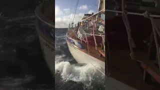 Back on WIND! And how Sparrow Can Fly! #sailing