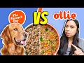 Brutally Honest Dog Food Review Farmer s Dog vs Ollie