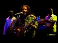 Stephen Marley performing "Break Us Apart"