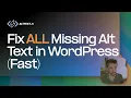Fix ALL Missing Alt Text in WordPress Fast AltText ai