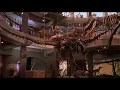 Jurassic Park (1993) - T-Rex vs. the Raptors Scene | Movieclips