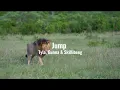 Download Lagu Jump - Tyla - Gunna \u0026 Skillibeng (clean + lyrics)
