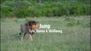 Jump Tyla Gunna Skillibeng Clean Lyrics 