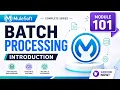 MuleSoft Batch Processing Tutorial - 101 Introduction The Architecture