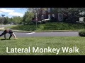 Lateral Monkey Walk