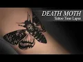 DEATH MOTH Black And Grey Tattoo Time-Lapse