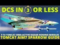 DCS Tomcat Sparrow - F14 AIM7 Sparrow Tutorial