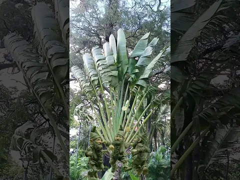 Mira lo que vi hoy es tu señal del universo ✨💰