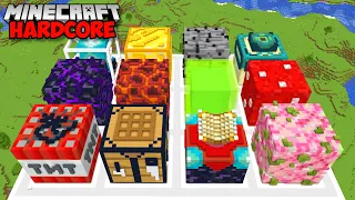 I Built The WORLDS BIGGEST BLOCKS In Minecraft Hardcore