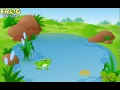 Learn the Frog Life Cycle AMAZING Science For Kids