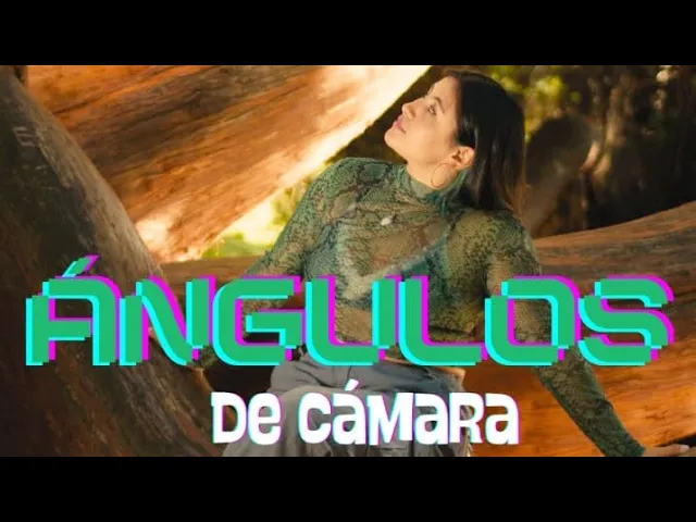 Ángulos de cámara