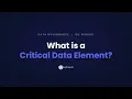 What Is a Critical Data Element DQ Pursuit