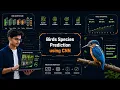 Bird Species Prediction Using Convolutional Neural Networks CNN and Deep Learning