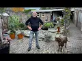 Download Lagu Op bezoek bij Jan van Gestel: adembenemende vijver met schitterende koi!