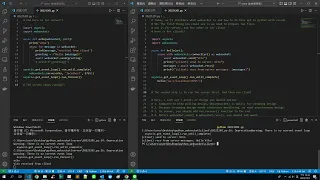 Python Knowledge How to use Websocket in python with vscode