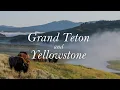 Grand Teton and Yellowstone National Park - 1 week highlights in July