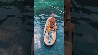Training a boat-kitten to paddleboard! #boatcat #boat #sailinglife #sail #sailing