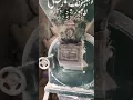 Full Automatic Atta Chakki Cyclone Ki Setting Mini Flour Mill
