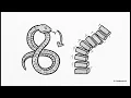 Python s Call Stack