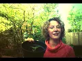 Download Lagu Een kijkje in de keuken: Symbool van de dahlia voor groei en bloei