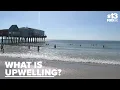 Why did Maine s coastline suddenly turn colder