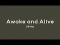 Download Lagu Awake and Alive - Skillet (Lirik dan Terjemahan)