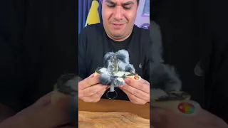 عروسک لبوبو جاسوسی میکنه 