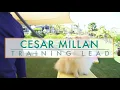 Cesar Millan Tutorial on Slip training lead