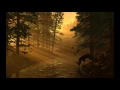 Fleet Foxes- Helplessness Blues (Full Album)