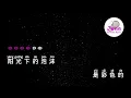 邓紫棋 泡沫 Pinyin Karaoke 拼音卡拉OK伴奏 KTV with Pinyin Lyrics