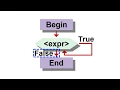 While Loop Basics