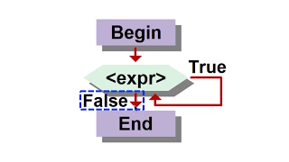 While Loop Basics