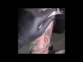 Cross and Roses Tattoo