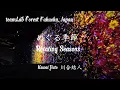 Download Lagu Meguru Kisetsu めぐる季節, Rotating Seasons