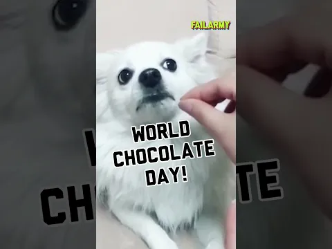 Hug your dogs tighter this #worldchocolateday #dogs #psa #brainrot #shorts