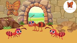 قصة النملة الكريمة و النملة البخيلة قصص اطفال قناة كرتون للاطفال 